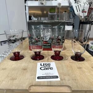 New VTG Pfaltzgraff Winterberry Glasses 4 Hand Painted Etched Original Box *